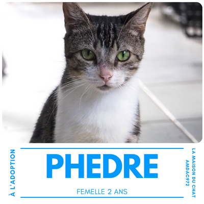 Phedre