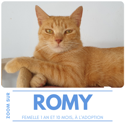 Romy