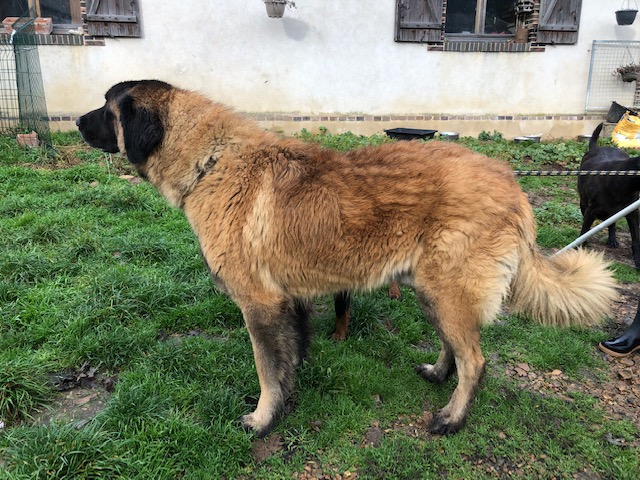 Mando (et inès)