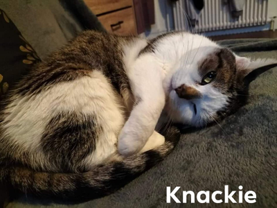 Knackie