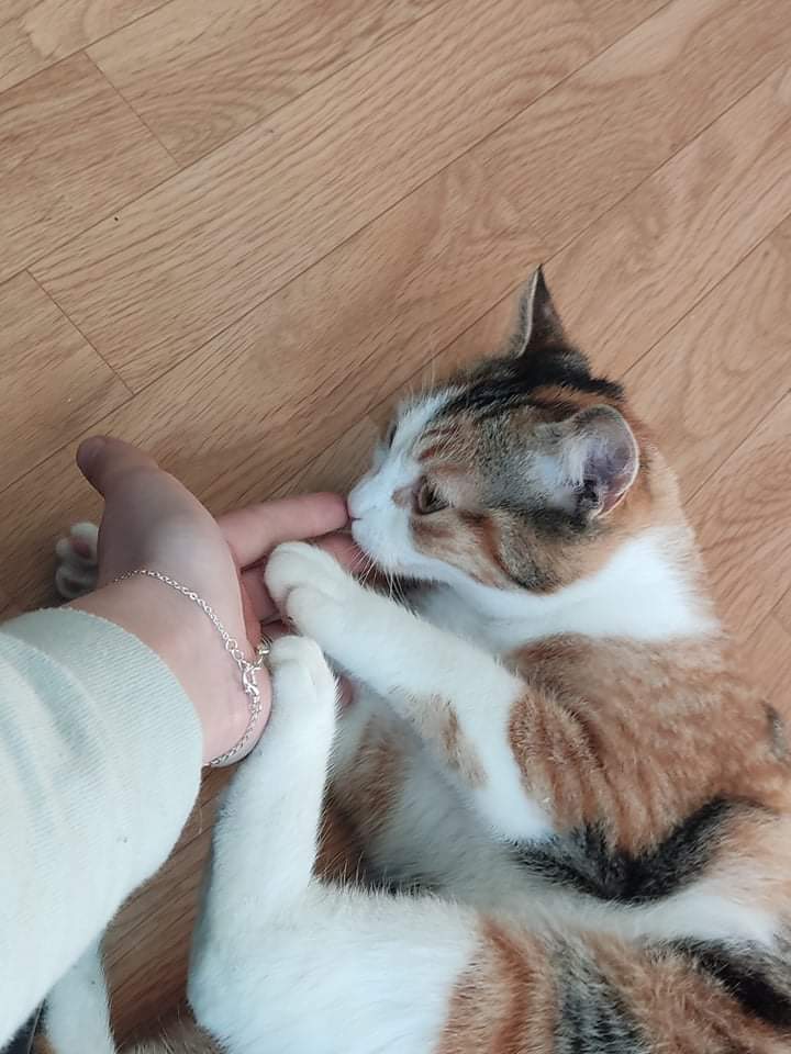 Tina