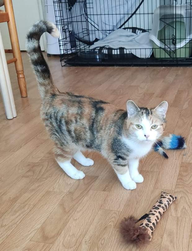 Tina