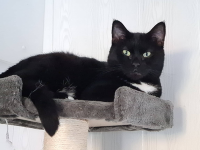 Penelope