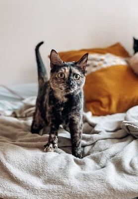 Anita