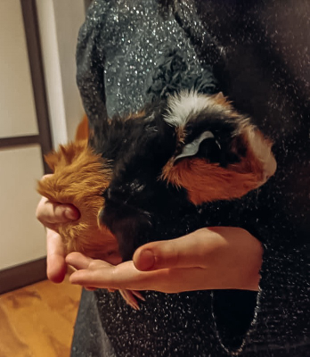 Caramel