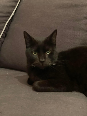 O'malley