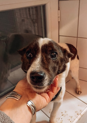 Max