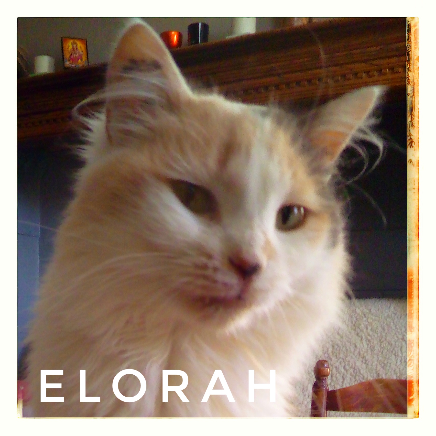 Elorah