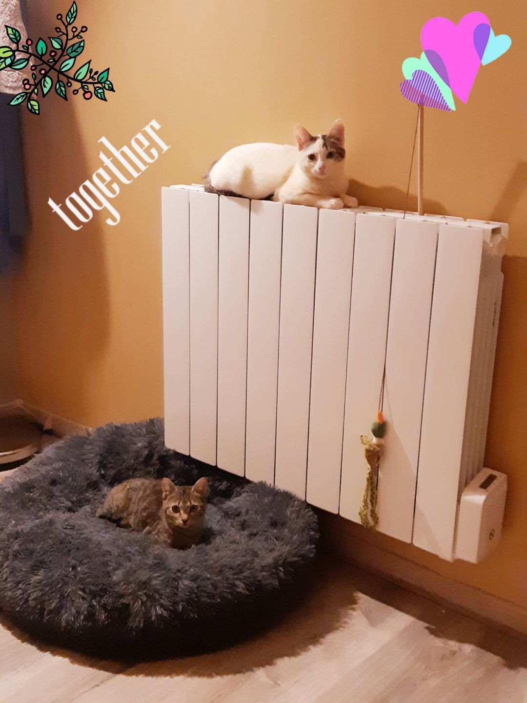 Leila & sarah