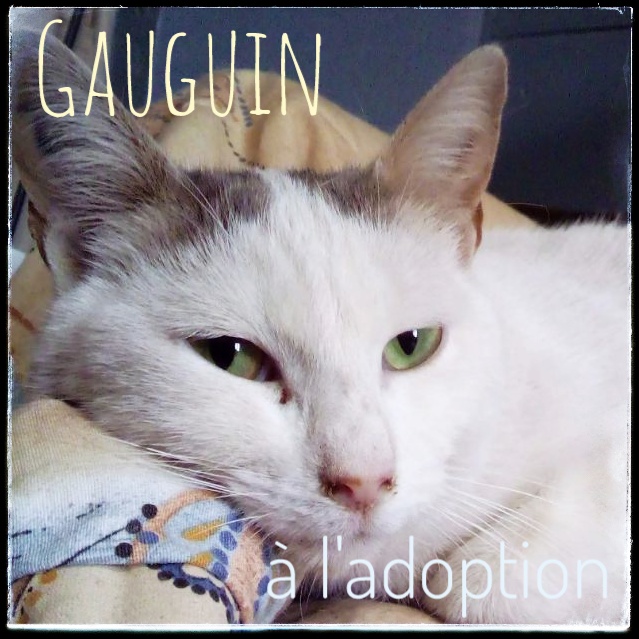 Gauguin