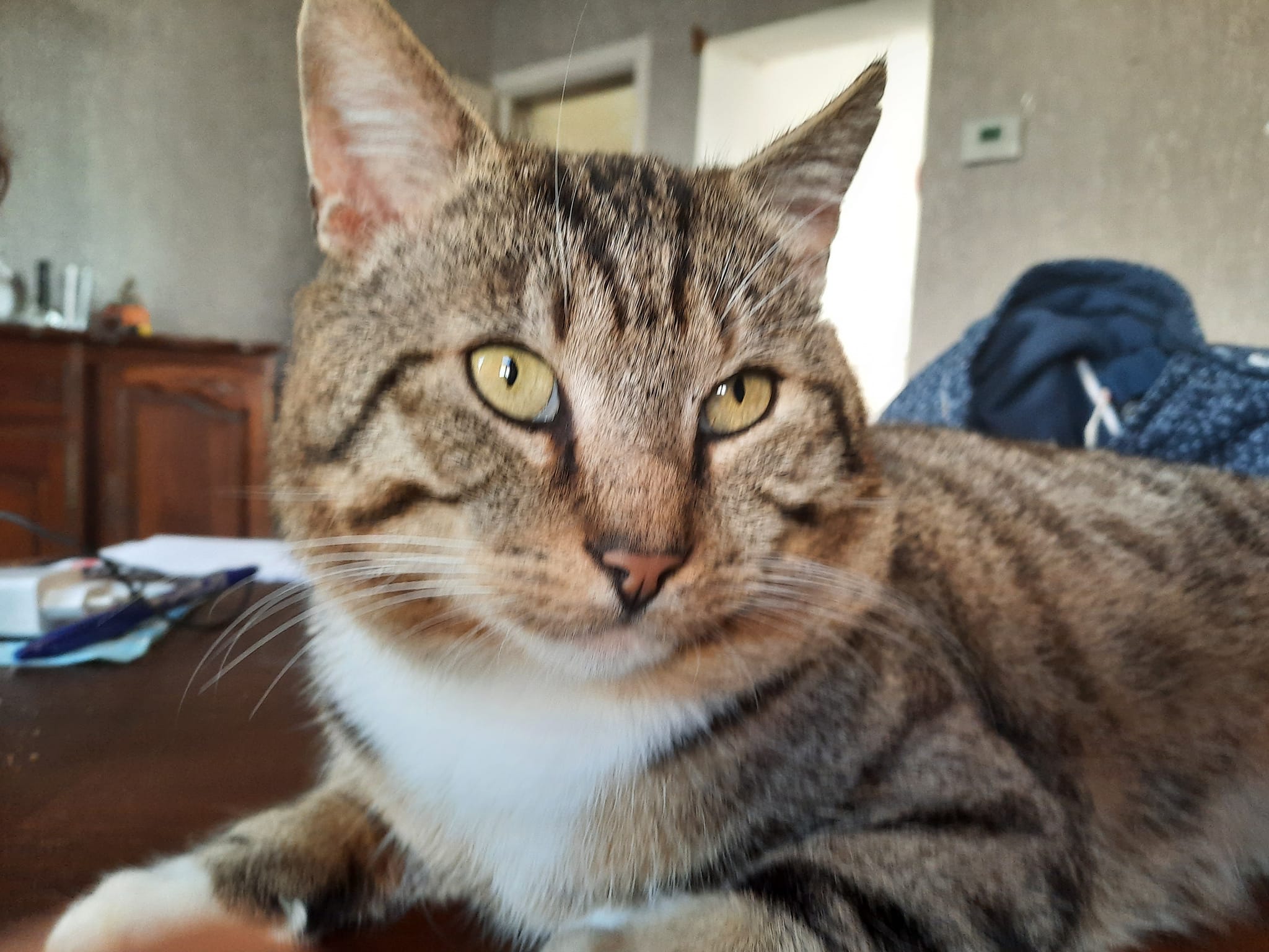 Sirius