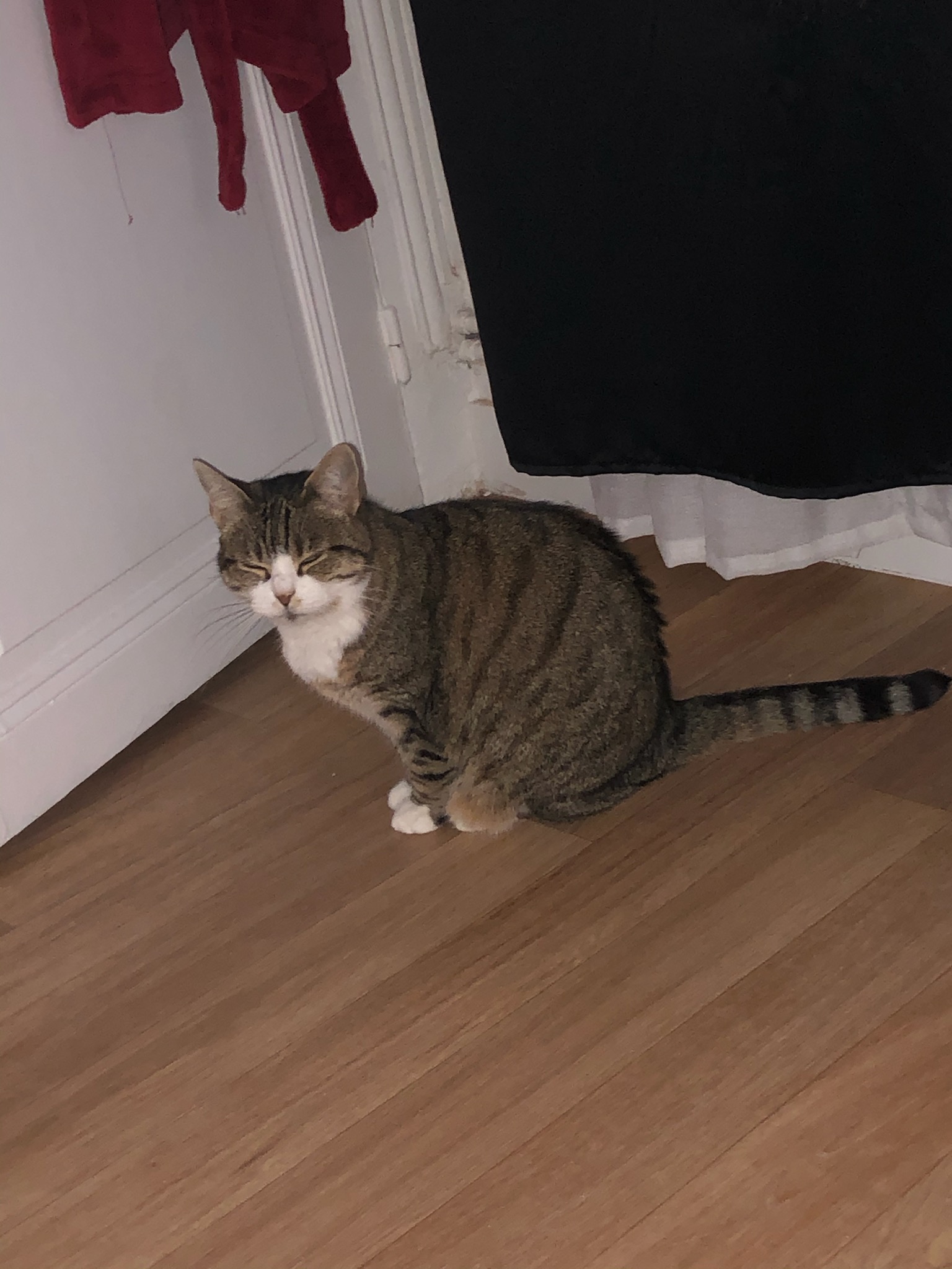 Suzie