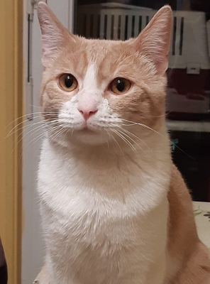 Magellan