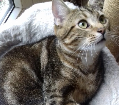 Sweetie