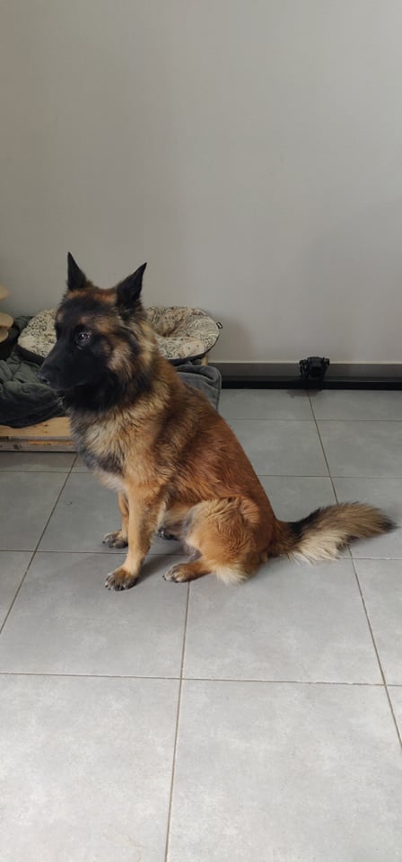 Diego