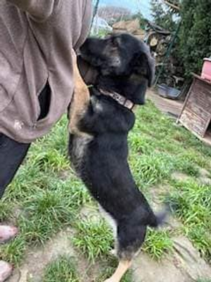 Max