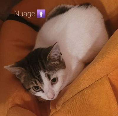 Nuage