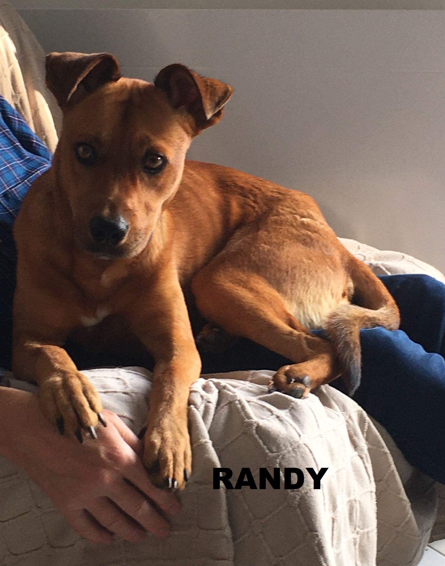 Randy