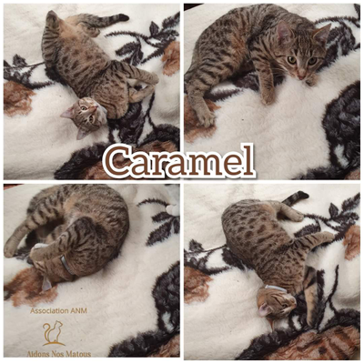 Caramel 