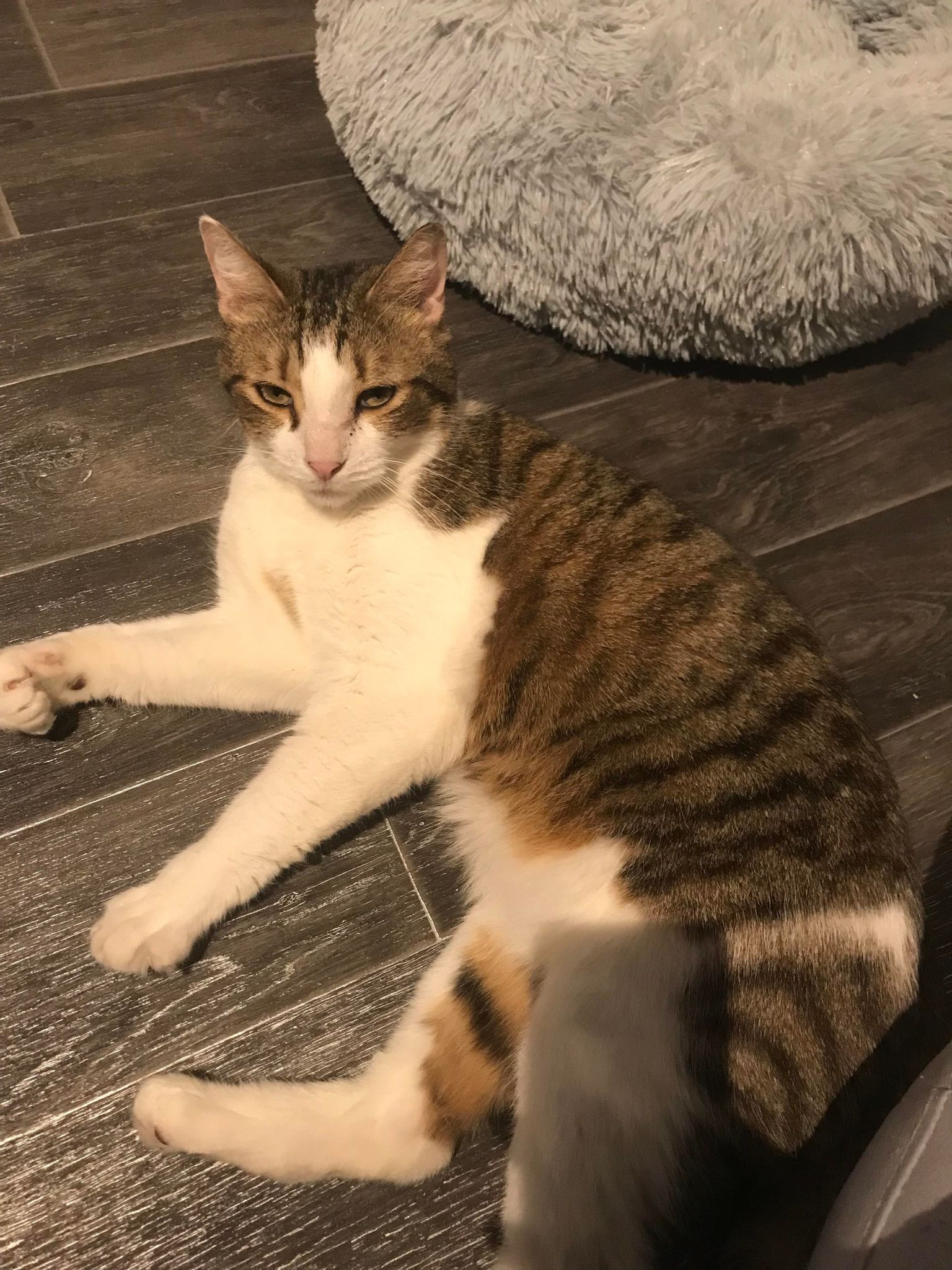 Oliver