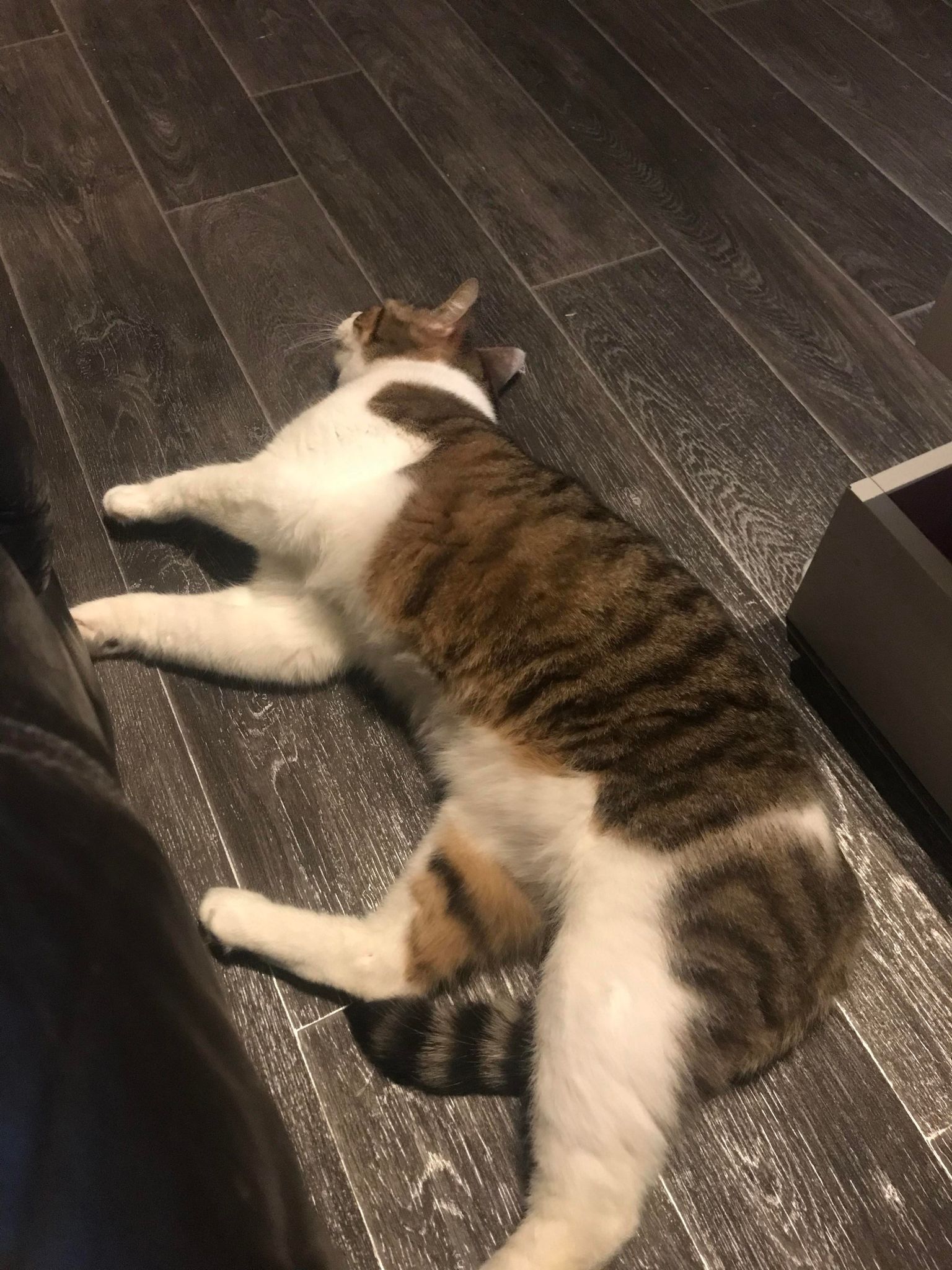 Oliver
