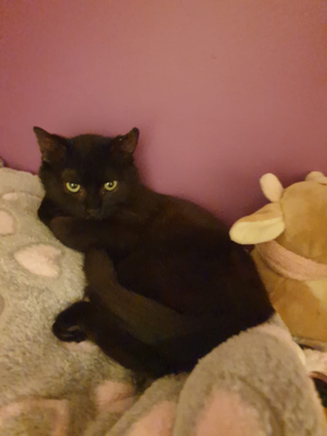 Minnie