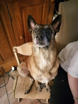 Kira