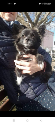 Lilou
