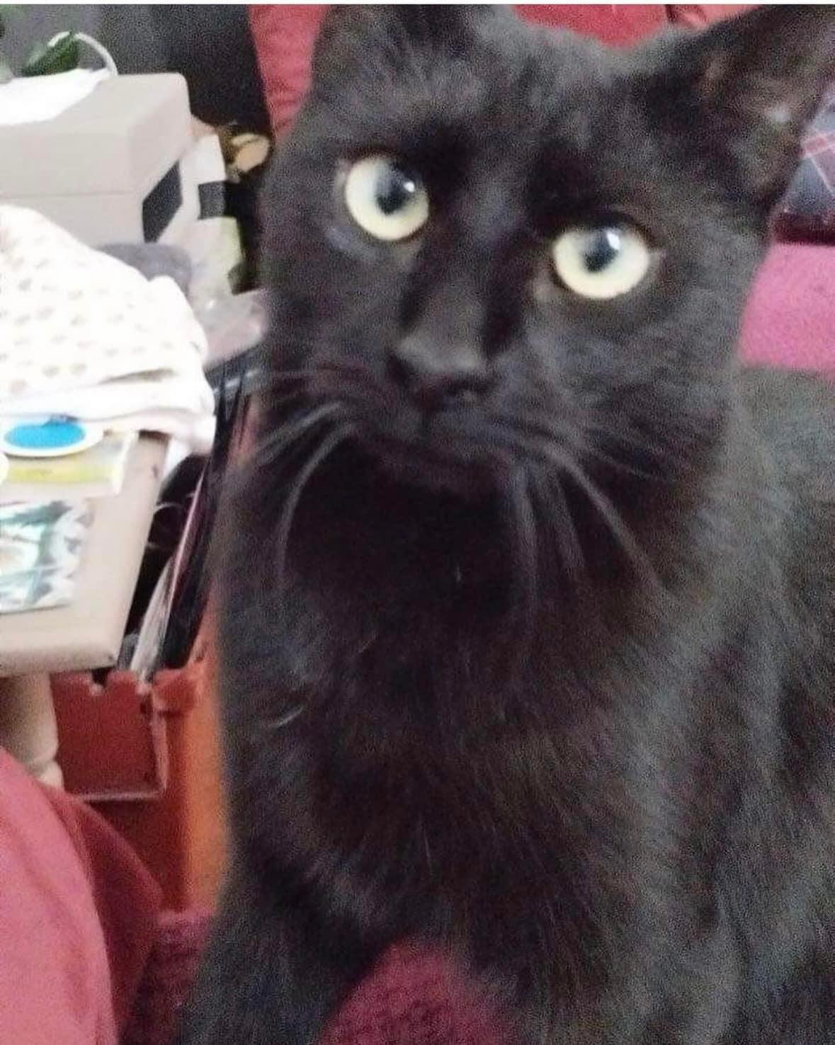 Tara