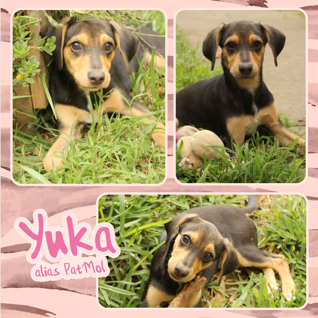 Yuka alias Pat'Mol