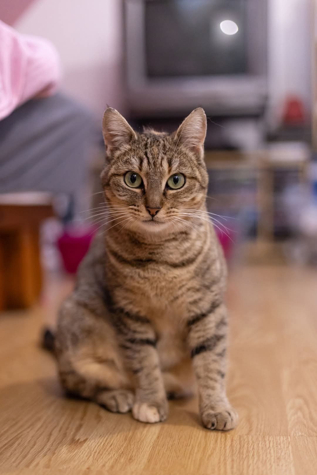 Delia