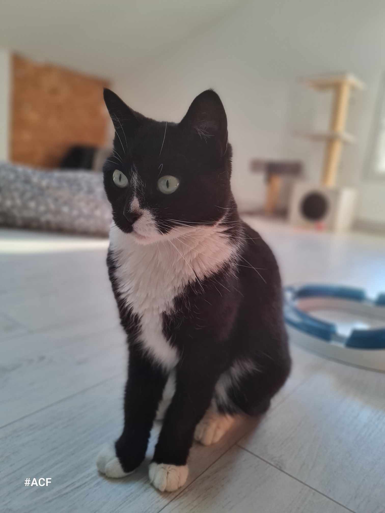 Miss Teigne (Réservée)
