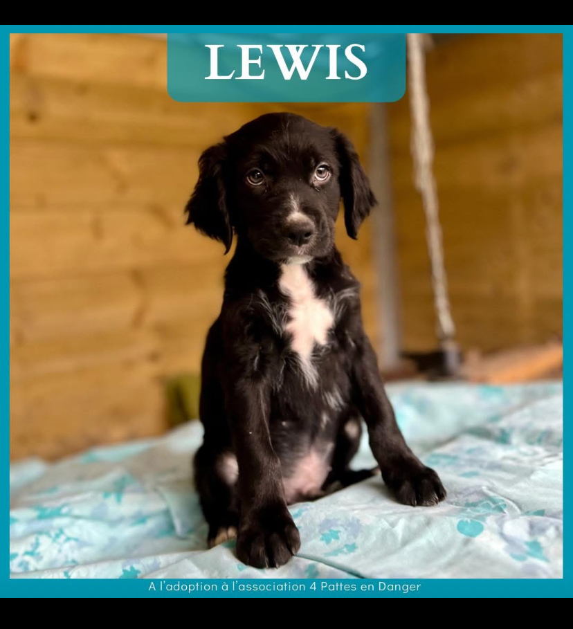 LEWIS