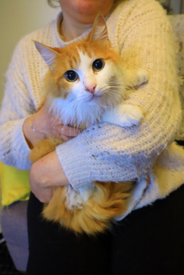 Simba
