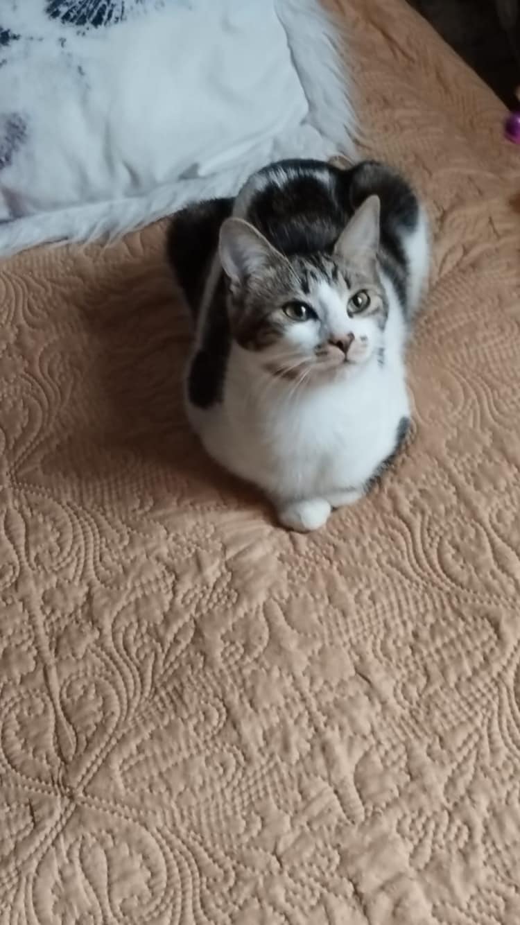 CHLOE