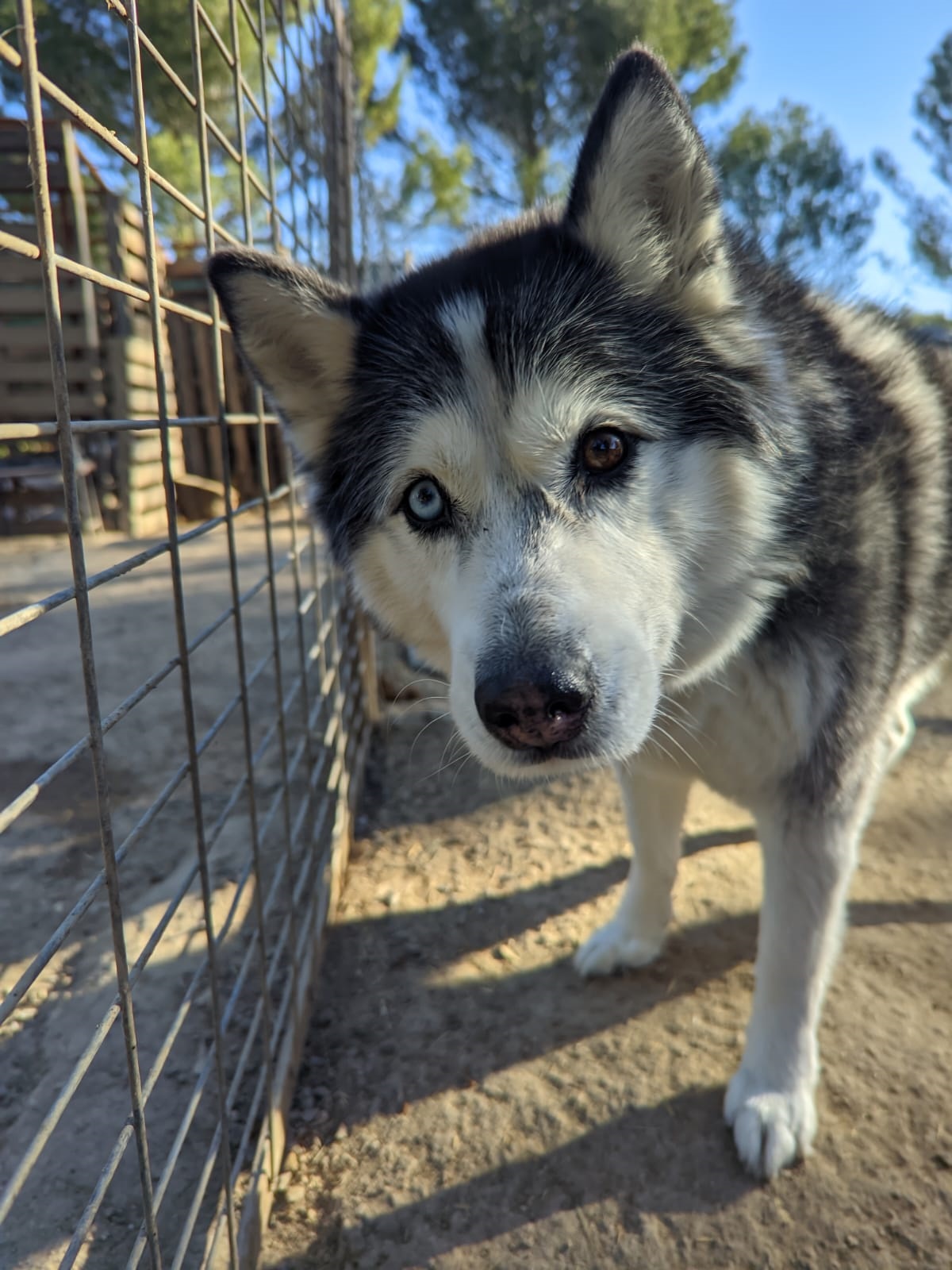 ALASKA