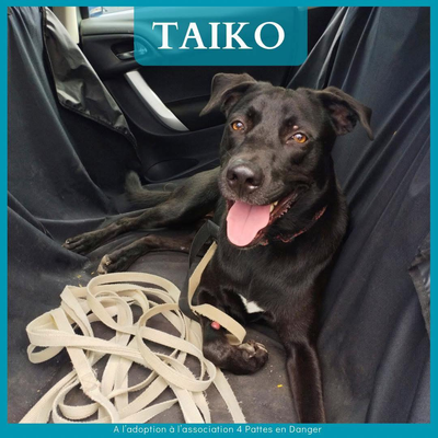 TAIKO