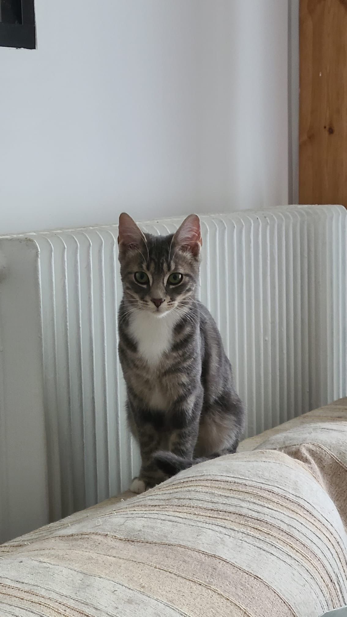 Céleste