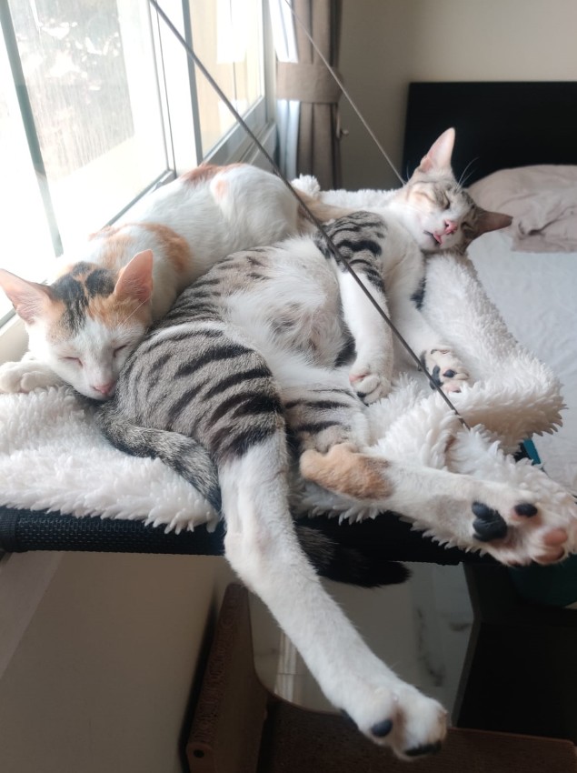 Smokey & Mia