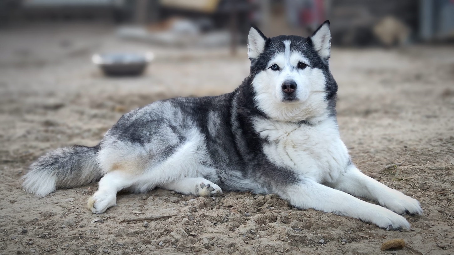 ALSKA