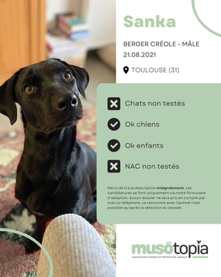 Sanka