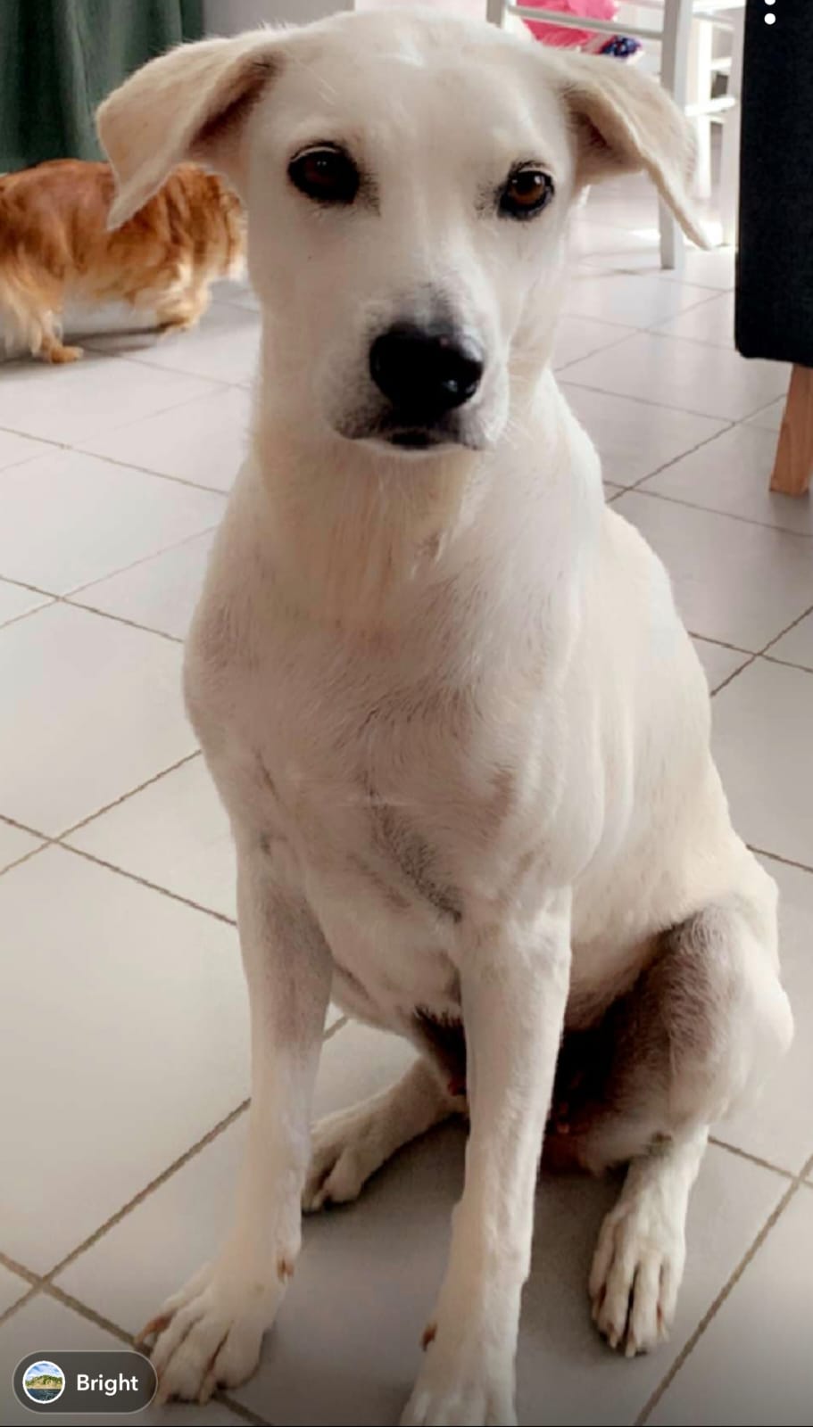 LILOU