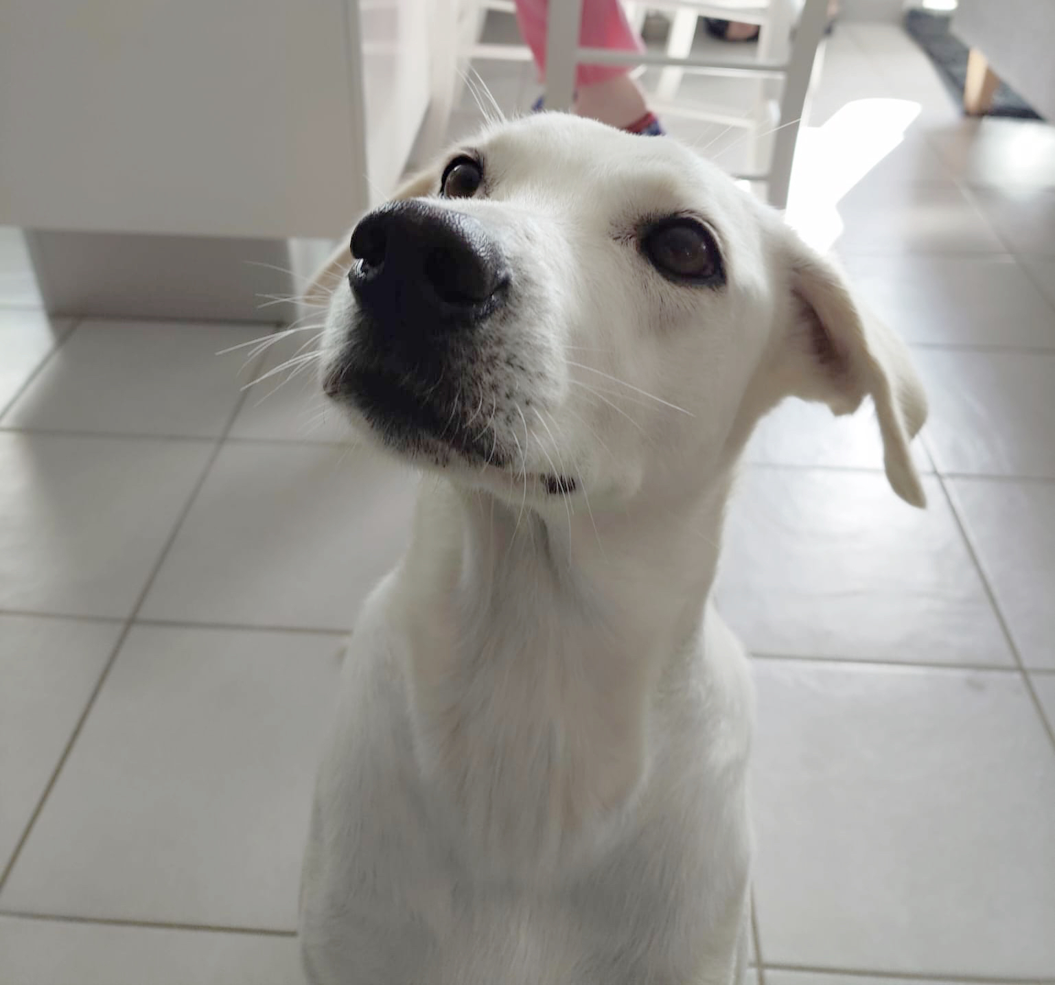 LILOU