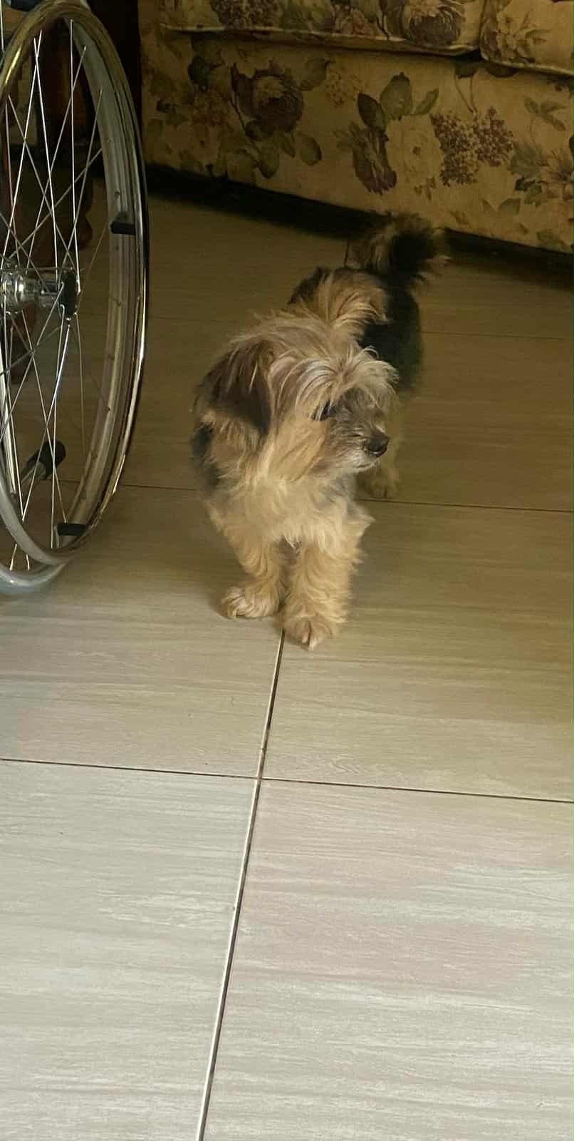 TIGROU