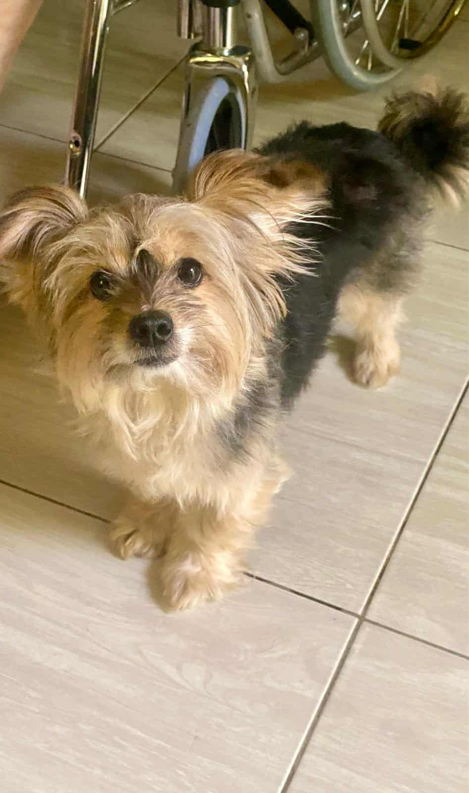 TIGROU