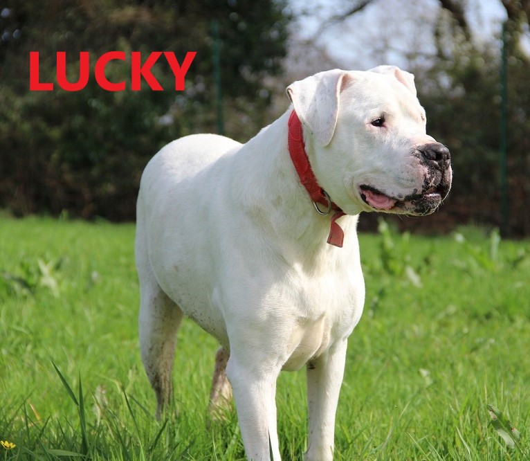 LUCKY