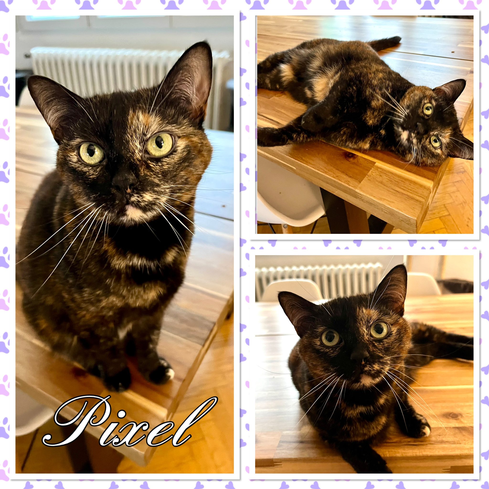 Pixel