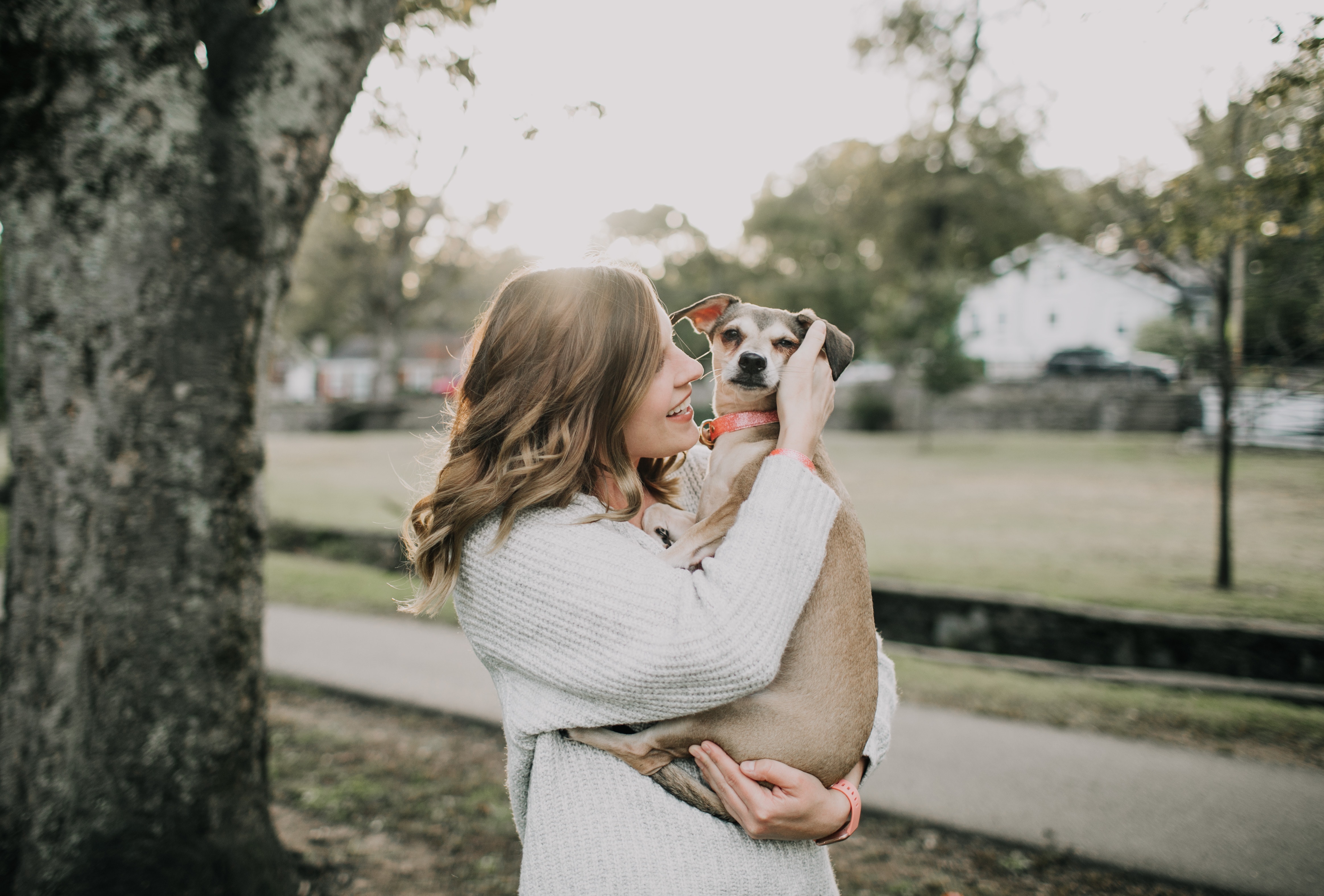 Comment choisir le bon animal de compagnie : conseils et astuces 🔍