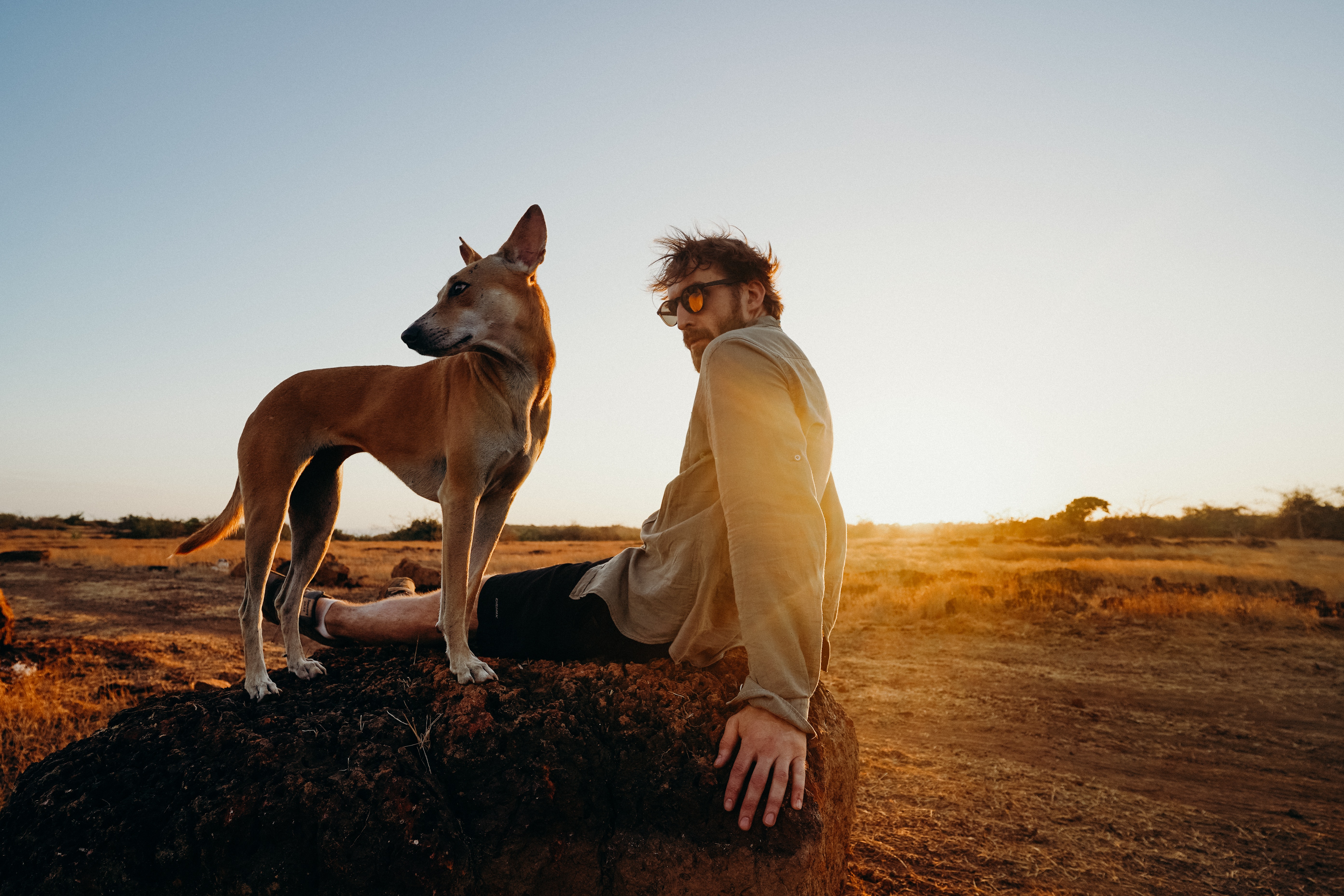 Comment partir en vacances avec son animal de compagnie