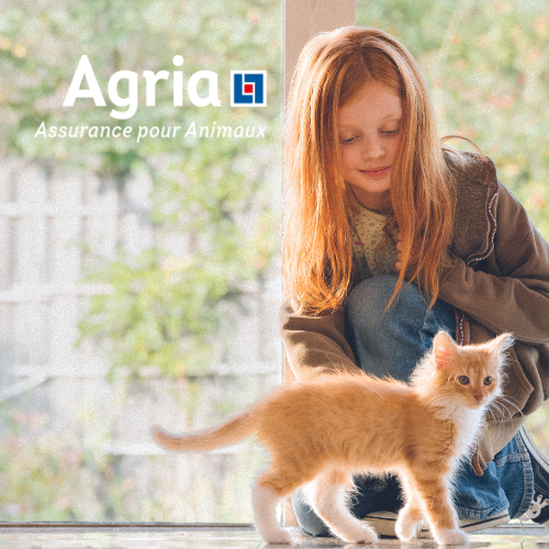 Protégez votre chat avec Agria